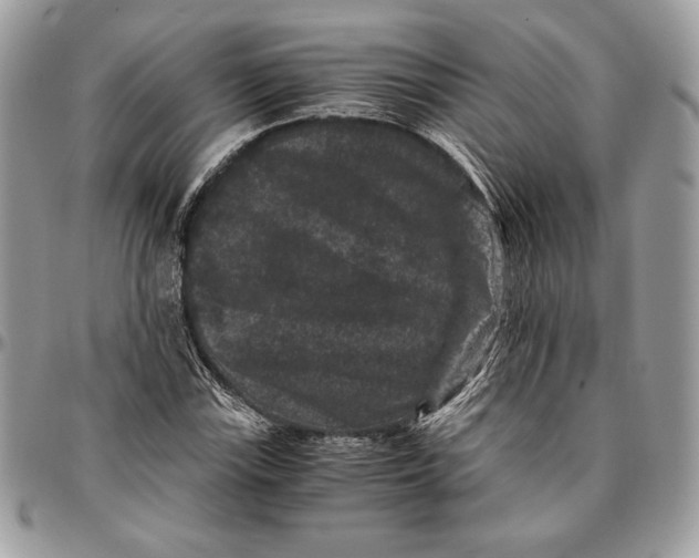 X0000094781115200712071158