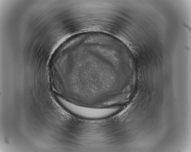 X0000094781118200712071158