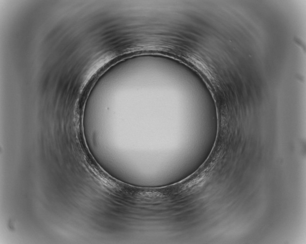 X0000094781119200712071158