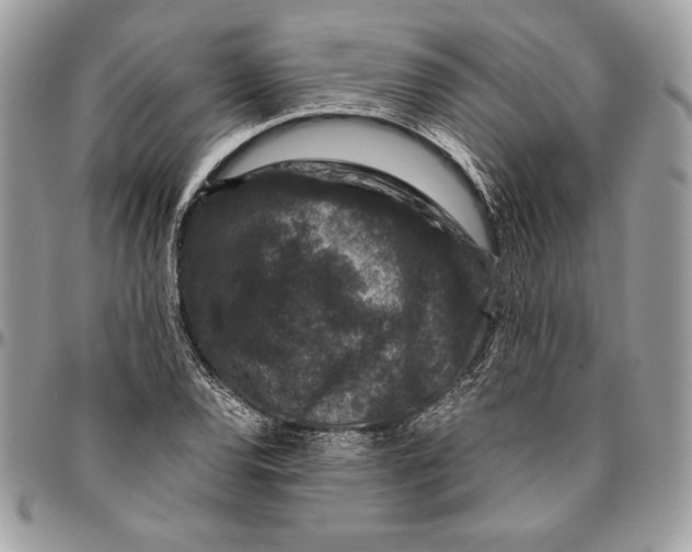 X0000094781120200712071158