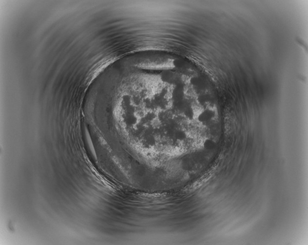 X0000094781121200712071158