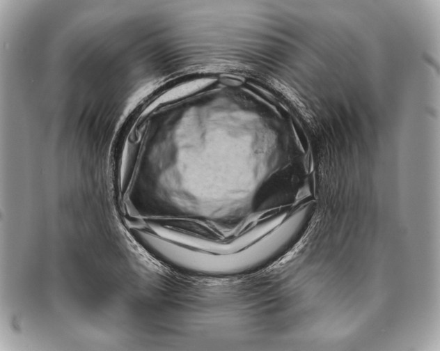 X0000094781122200712071158