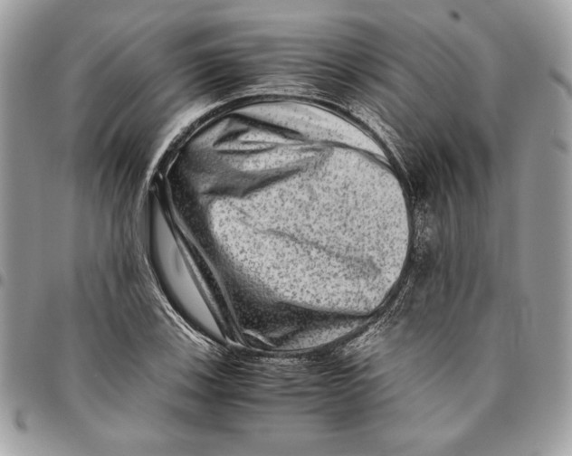 X0000094781123200712071158