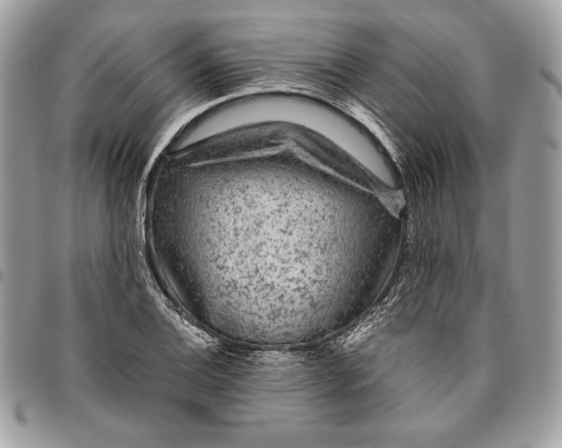 X0000094781124200712071158