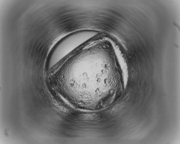 X0000094781125200712071158