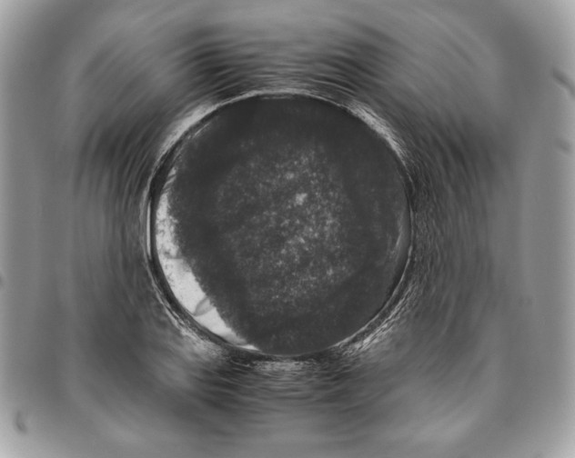 X0000094781127200712071158