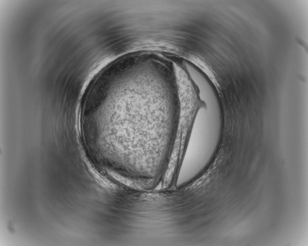 X0000094781128200712071158