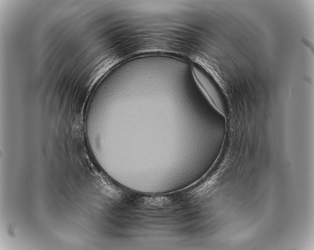 X0000094781129200712071158