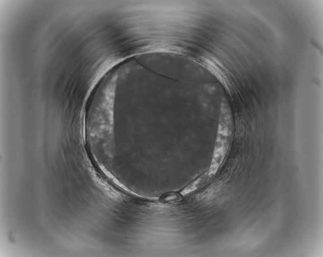 X0000094781132200712071158