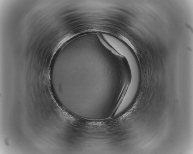 X0000094781133200712071159