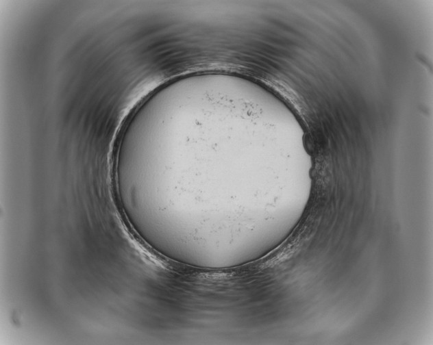 X0000094781135200712071159