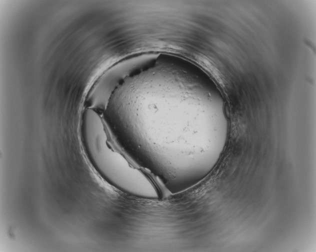 X0000094781136200712071159