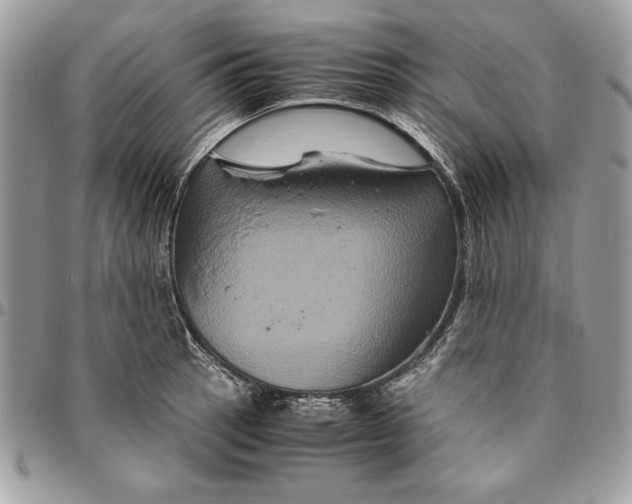 X0000094781137200712071159