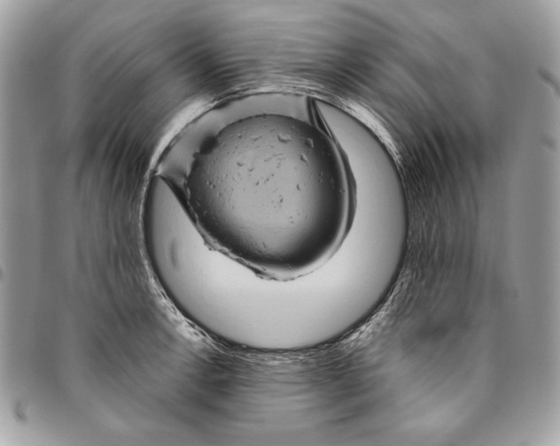 X0000094781138200712071159