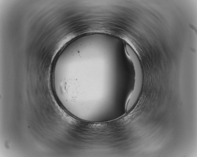 X0000094781139200712071159