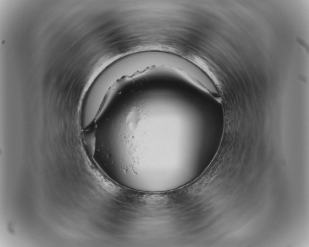 X0000094781140200712071159