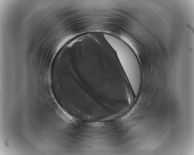 X0000094781141200712071159