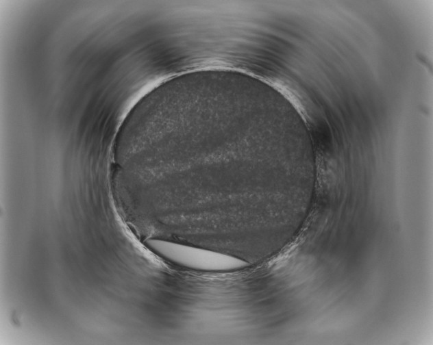 X0000094781142200712071159