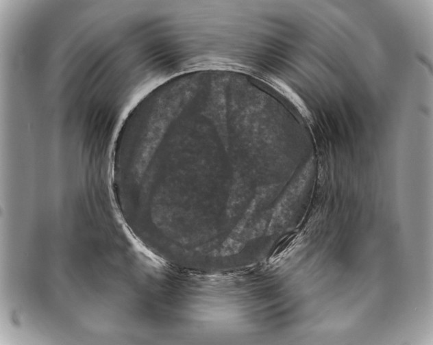 X0000094781144200712071159