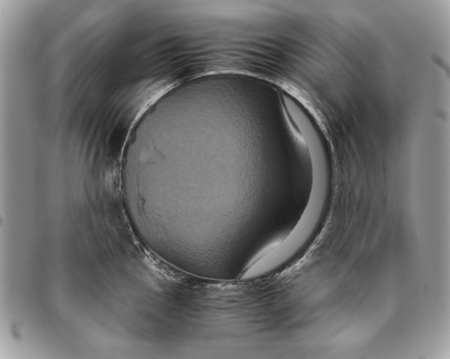 X0000094781145200712071159