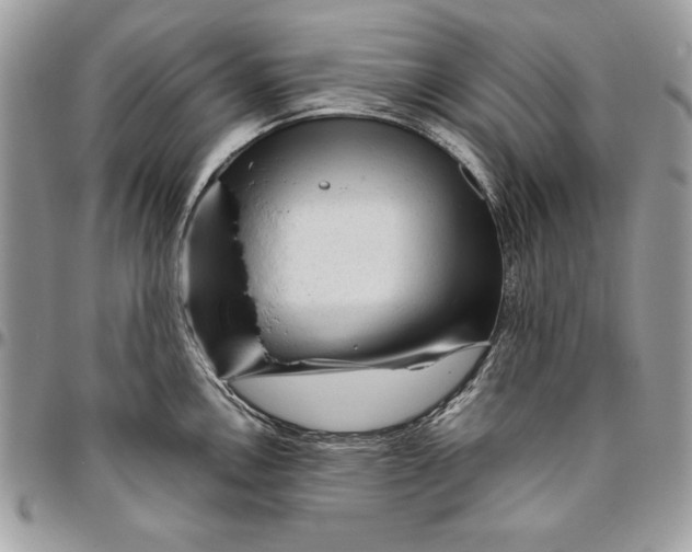 X0000094781146200712071159