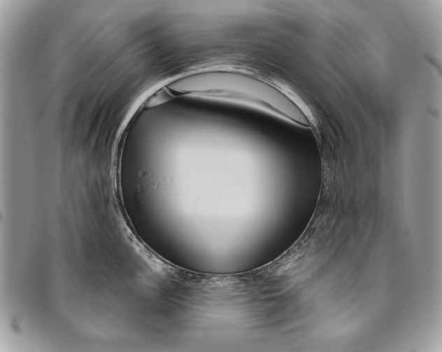 X0000094781148200712071159