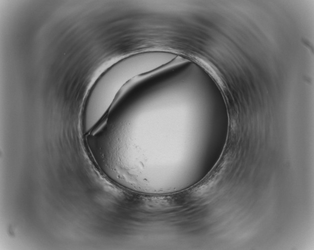 X0000094781149200712071159