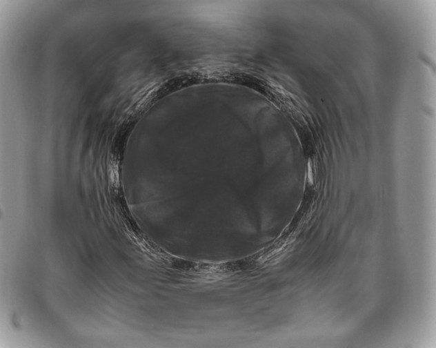 X0000094781155200712071158