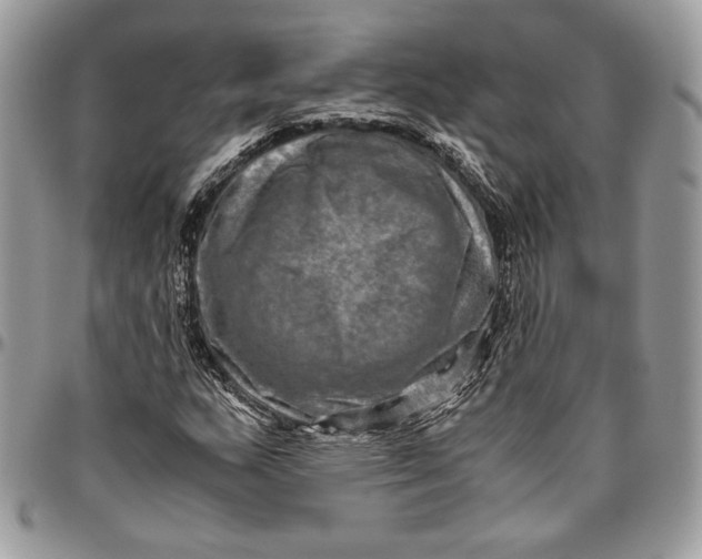 X0000094781159200712071158