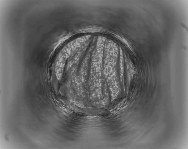 X0000094781160200712071158