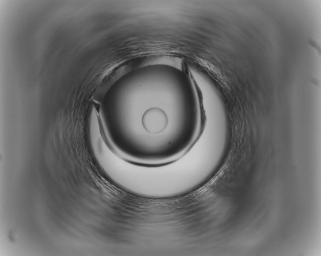 X0000094781161200712071158