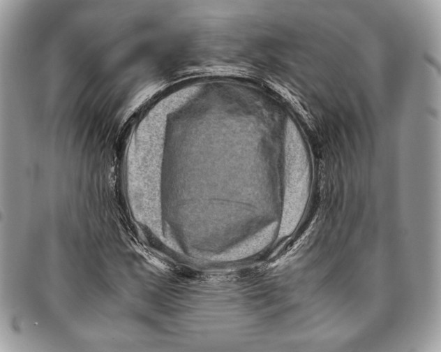 X0000094781163200712071158