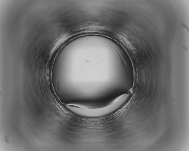 X0000094781164200712071158