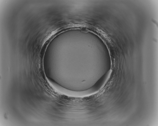 X0000094781165200712071158