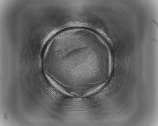 X0000094781167200712071158