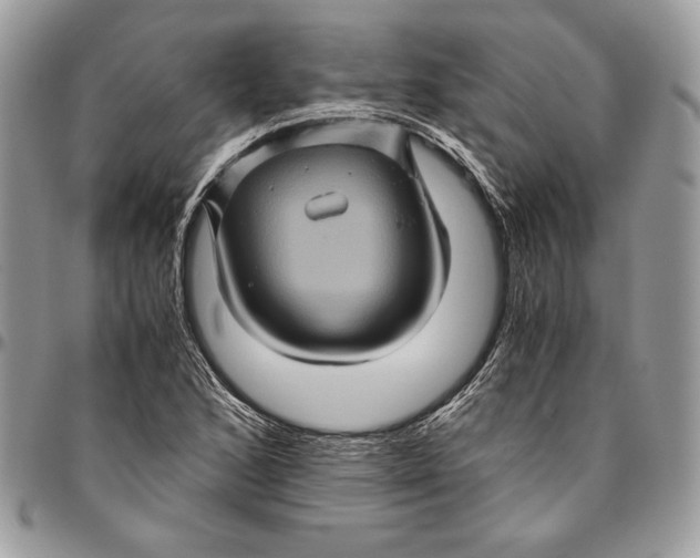 X0000094781168200712071158