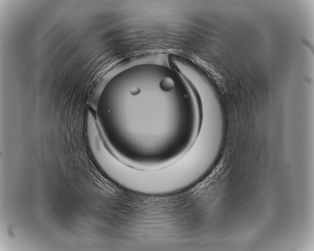 X0000094781169200712071158