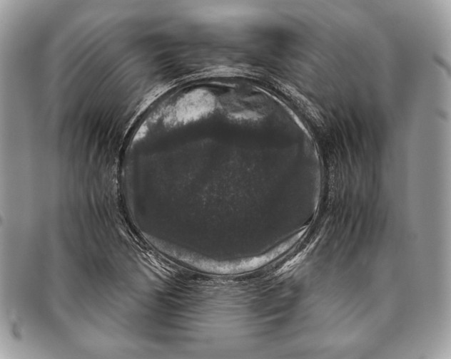 X0000094781170200712071158