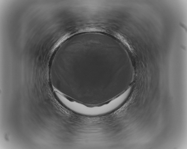 X0000094781173200712071158