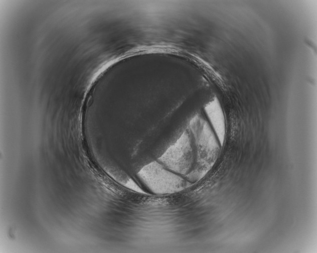 X0000094781174200712071158