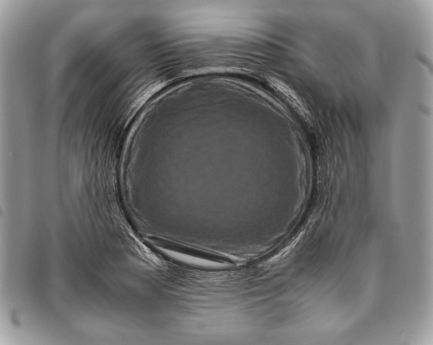 X0000094781177200712071158