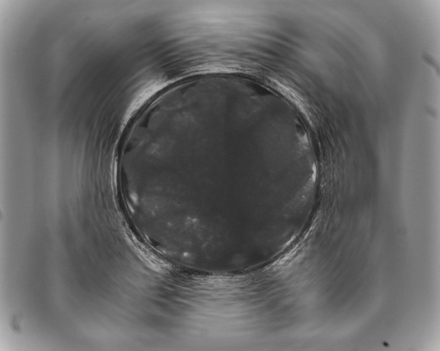 X0000094781179200712071158