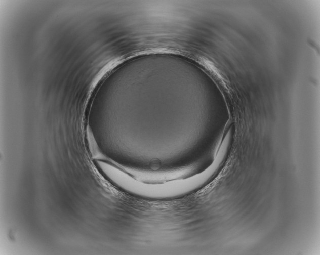 X0000094781181200712071158