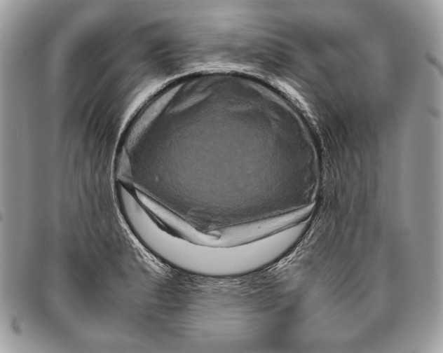 X0000094781183200712071158