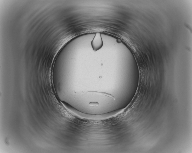 X0000094781186200712071157