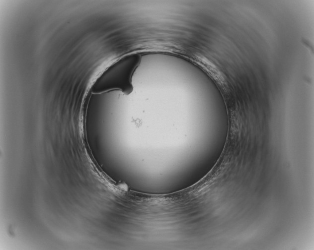 X0000094781188200712071157