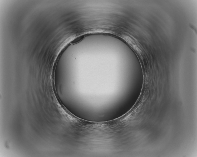 X0000094781189200712071157