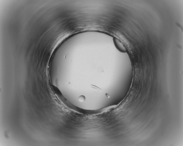 X0000094781190200712071157