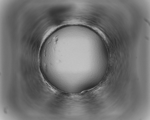 X0000094781191200712071157