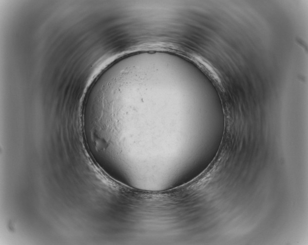 X0000094781192200712071157